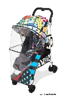 Цвет Jason Woodside вид с дождевиком