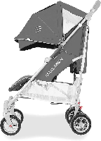 цвет Charcoal/Silver с разложенным капором